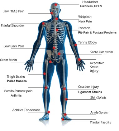 Chiropractic Altoona PA Skeleton Diagram